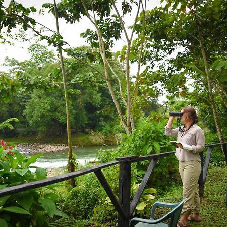 Вилла Chilamate Rainforest Eco Retreat Puerto Viejo de Sarapiqui Экстерьер фото