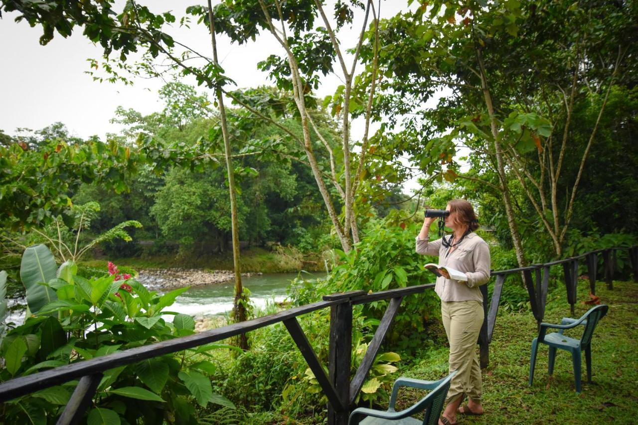 Вилла Chilamate Rainforest Eco Retreat Puerto Viejo de Sarapiqui Экстерьер фото